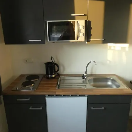 Stadtmauergasse Apartment *